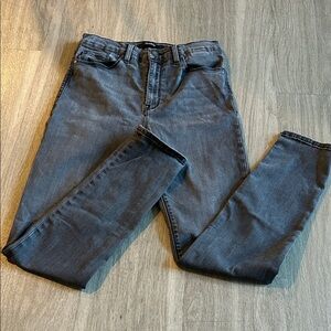 Hudson Jeans Women's Skinny Fit inl Gray